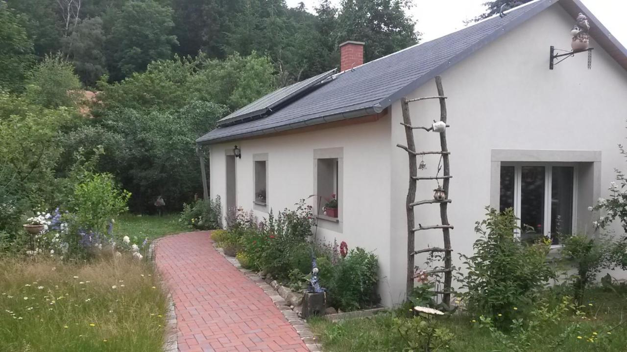 Villa Pochebachhaeusl à Jonsdorf Extérieur photo